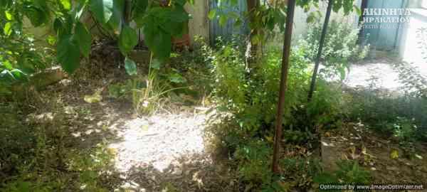 εικόνα_Viber_2025-05-12_14-25-23-241.jpg